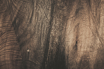 old wood texture pattern background