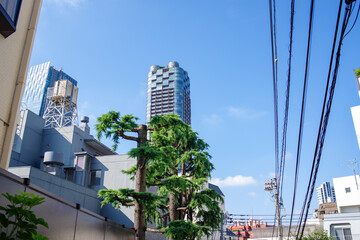 東京の赤坂、乃木坂、ミッドタウン周辺の風景