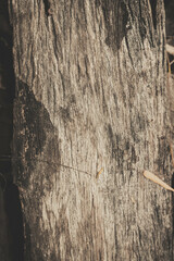 old wood texture pattern background