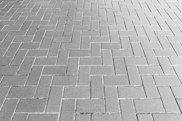 Perspective View Monotone white Brick Stone Pavement on The Ground for Street Road