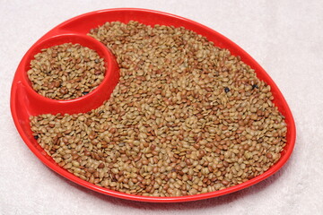 Horse gram or Macrotyloma uniflorum isolated on white background