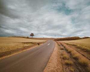 Hokkaido Landscape