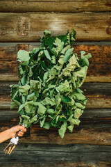 An oak broom in his hand against the background of a wooden log house. A homemade broom for a Russian bath. Preparation of brooms for the sauna