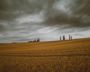 Fototapeta premium Hokkaido Landscape