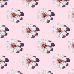 Trendy sunlight seamless pattern made with delicate flowers on pink background, as backdrop or texture. Minimal floral concept. Wallpaper for your design
