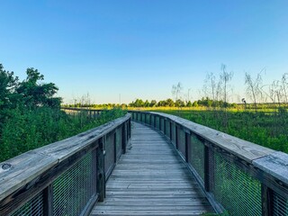 Fototapeta na wymiar Wooden boardwalk bridge in the swamp