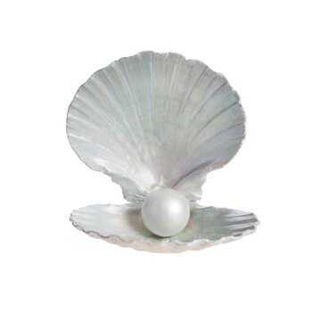 Pearl inside seashell isolated on white background