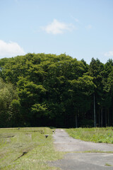 日本の田園風景