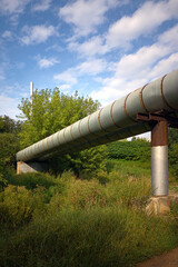 pipeline in a forest park on the outskirts of the city