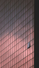 Reflective glass building facade