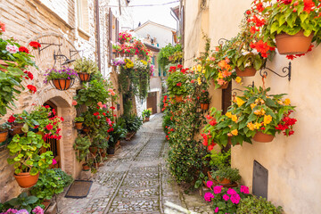 Fototapeta na wymiar Flowers in ancient street located in Spello village. Umbria Region, Italy.