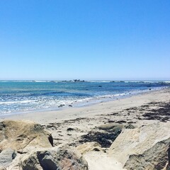 Beach on a sunny summer day