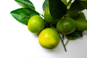 Lime is a citrus fruit, which is typically round, green in color with leafs  on isolated white background.Lime juice is used to make limeade, and as an ingredient in many cocktail.