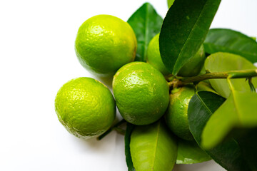 Lime is a citrus fruit, which is typically round, green in color with leafs  on isolated white background.Lime juice is used to make limeade, and as an ingredient in many cocktail.