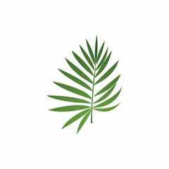 Fotobehang Monstera Leaf and Shutter Lens Aperture for Nature Photographer logo design inspiration