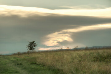 Obraz premium sunrise over the field