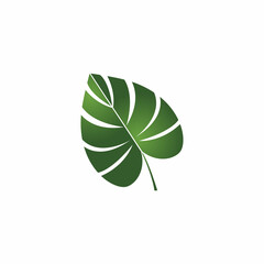 Monstera leaf logo vector design
