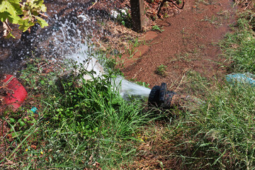 The garden in arab village close Najran, Asir region, Saudi Arabia