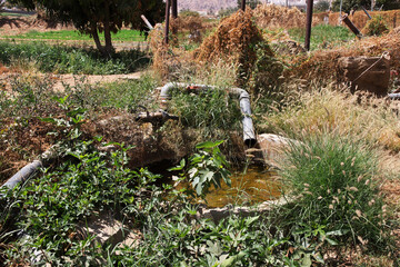 The garden in arab village close Najran, Asir region, Saudi Arabia