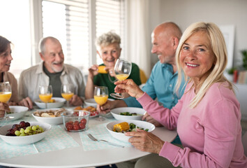 Group of senior friends having party indoors, talking when eating at the table.