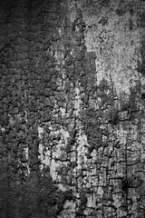 Old wood background.