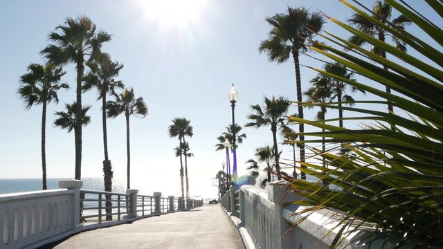 Palm trees and pier, Oceanside tropical ocean beach resort, summertime California coast on sunny day, USA. Dazzling sun glare flare, bright sunburst in clear sky. Sunshine and wind, sunlit summer sea.