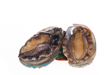 Abalone shellfish on a white background