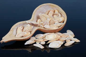 Chinese herbal medicine astragalus membranaceus on a white backg