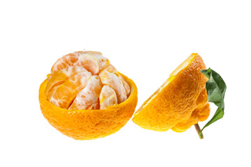 Oranges Jeju island, South Korea.