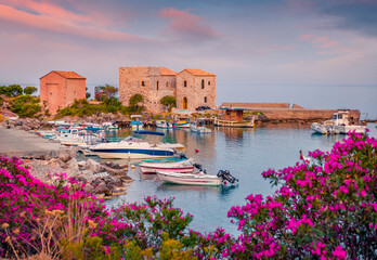 Blooming pink flower on the shore of Kardamyli port with St. John church and Old Customs of...