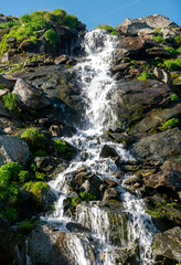 Mountain waterfall flowing surrounded by rocks and blooming flowers