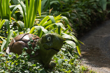 smiling turtle between plants in a mini golf course from a amusement park