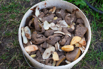 Heap of potato peels in trash bin.