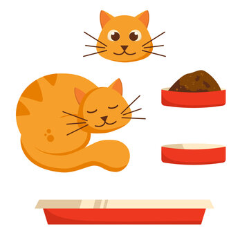 Sleeping ginger cat. Head of a cute cat. Bowl with food and empty plate. Cat basket. Isolated on white background. Vector illustration