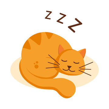 Sleeping ginger cat. Cute baby cat on white background. Vector illustration 8 eps.