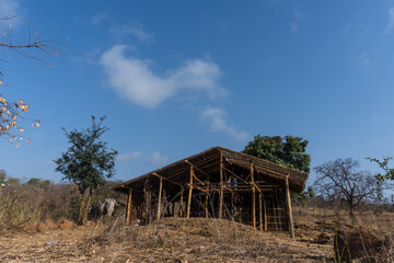 Vishal Khadi Eco Campsite. beautiful palm trees, water reflection, green field, huts, lake