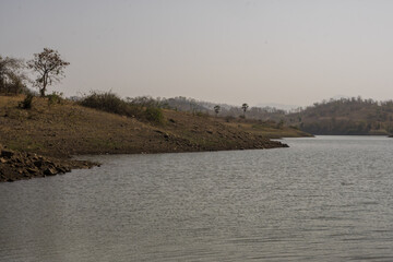Vishal Khadi Eco Campsite. beautiful palm trees, water reflection, green field, huts, lake