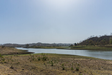 Vishal Khadi Eco Campsite. beautiful palm trees, water reflection, green field, huts, lake