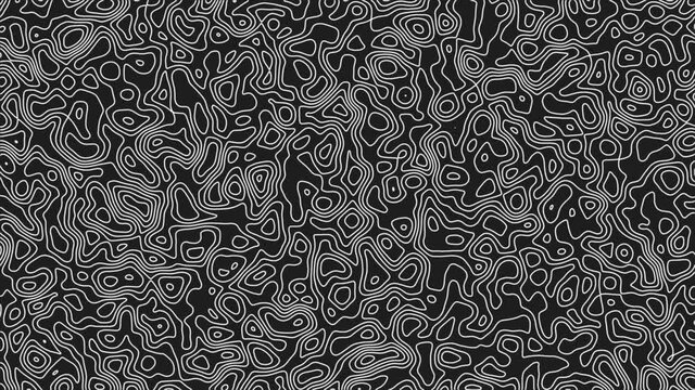 White outline topographic contour map abstract tech motion graphic design. Geometric background. Video animation Ultra HD 4K 3840x2160. Moving waves on black background.