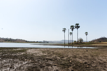 Vishal Khadi Eco Campsite. beautiful palm trees, water reflection, green field, huts, lake