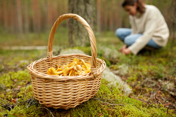 picking season, leisure and people concept - young woman with basket and knife cutting chanterelle mushroom in autumn forest © Syda Productions
