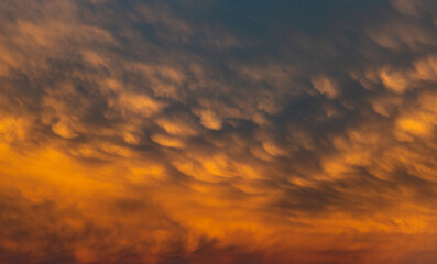 Fototapeta na wymiar Sunset mammatus clouds after a storm. Serbia