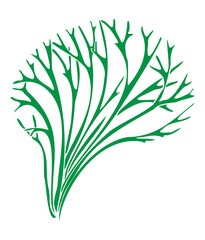 Hand drawing green seaweed river riccia