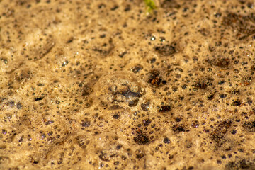 Brown mud and water, texture and background for design used for 3d models