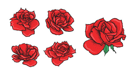 Rose flower, hand drawn illustration, vector.