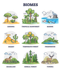 Biomes as biogeographical climate zones division in outline collection set. Different weather environments and habitat description vector illustration. Savanna, marine, desert and tundra examples.