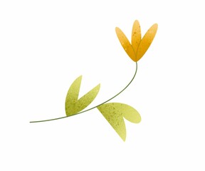 Obraz premium Raster element flower with leaves, branch, orange, yellow and light green isolated on white background. Suitable for billboards, fabrics, posters, advertising and logos.