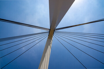 Fototapeta premium 橋！ 主塔から伸びるケーブルが格好いいです
