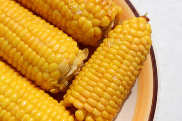 Boiled corn on the cob with salt on plate on table. Cooked sweetcorn, healthy vegan snack. 
