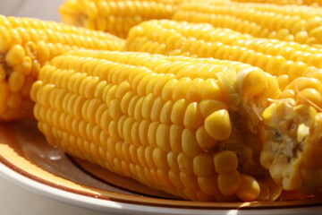 Boiled corn on the cob with salt on plate on table. Cooked sweetcorn, healthy vegan snack. 
